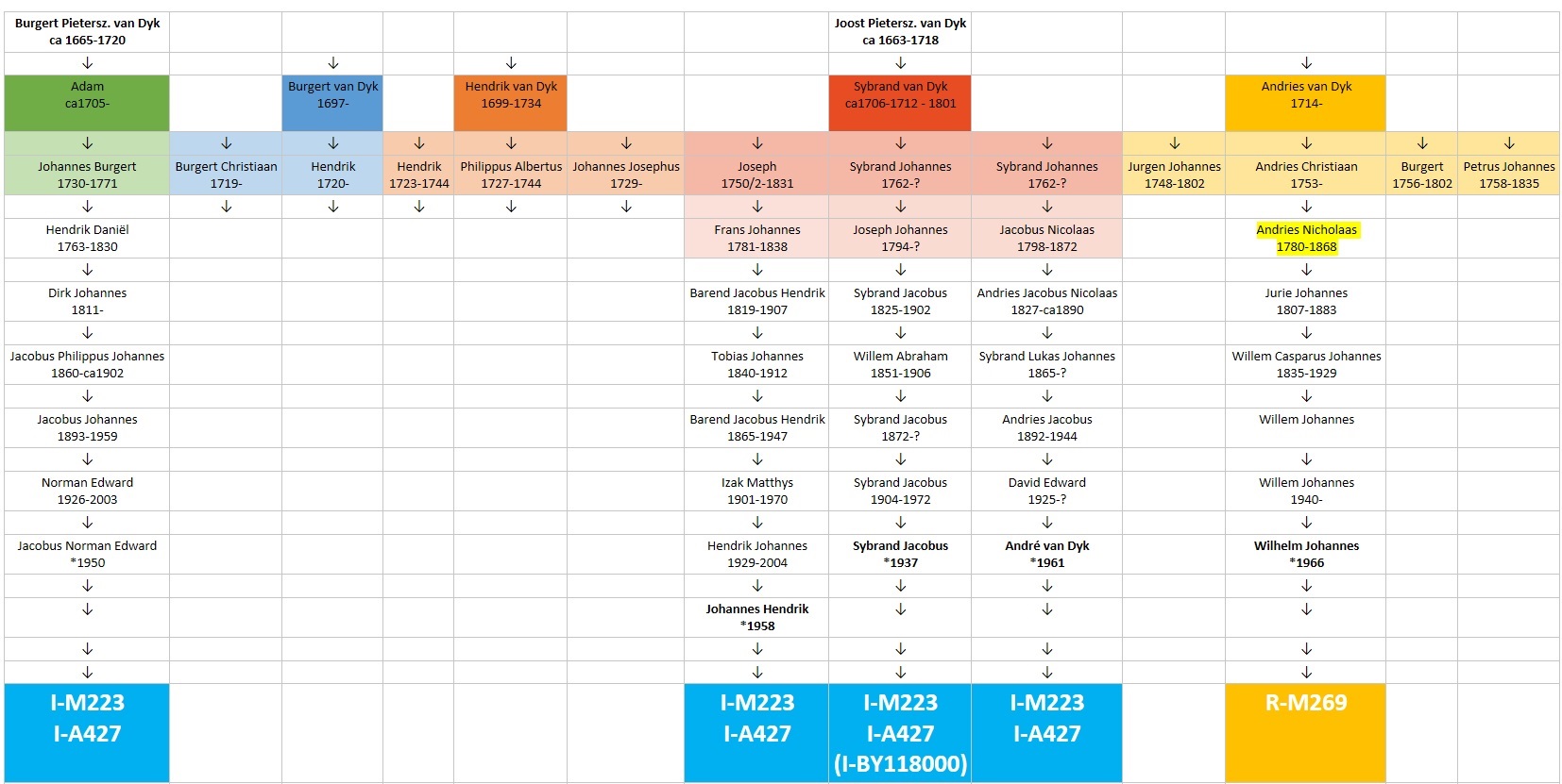 Van Dyk DNS-resultate